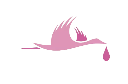 II Форум специалистов перинатальной медицины